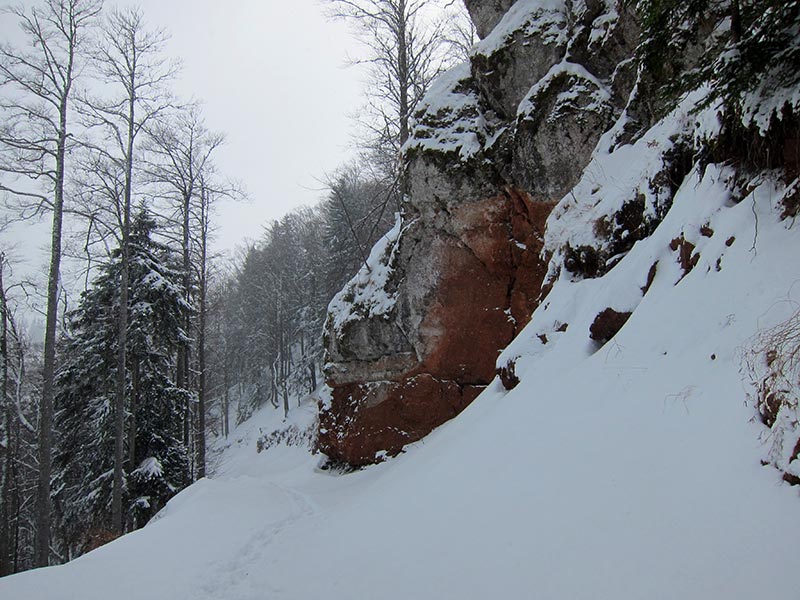 Kuhschneeberg